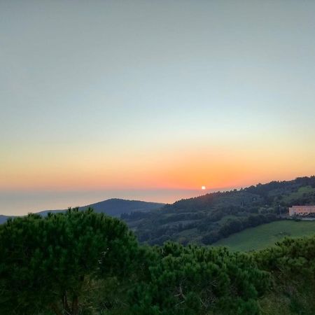 Vista Sulle Isole Dell'Arcipelago Toscano Nibbiaia Ruang foto